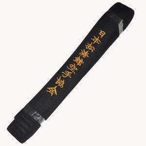 BJJ Belt